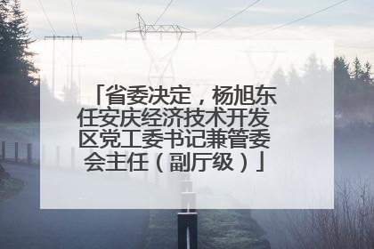 省委决定，杨旭东任安庆经济技术开发区党工委书记兼管委会主任（副厅级）