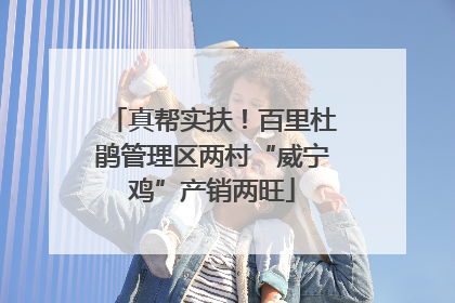 真帮实扶！百里杜鹃管理区两村“威宁鸡”产销两旺