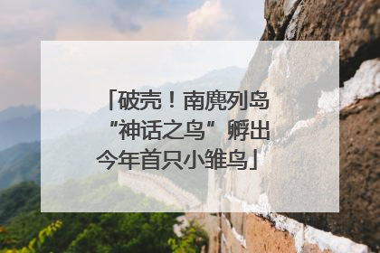 破壳！南麂列岛“神话之鸟”孵出今年首只小雏鸟