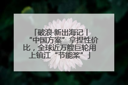 破浪·新出海记丨 “中国方案”拿捏性价比，全球近万艘巨轮用上镇江“节能桨”