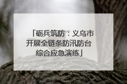 砺兵筑防：义乌市开展全链条防汛防台综合应急演练