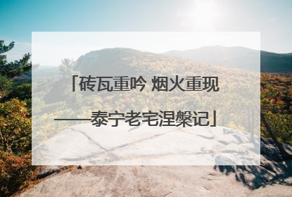 砖瓦重吟 烟火重现——泰宁老宅涅槃记