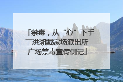 禁毒，从“心”下手――洪湖戴家场派出所广场禁毒宣传侧记