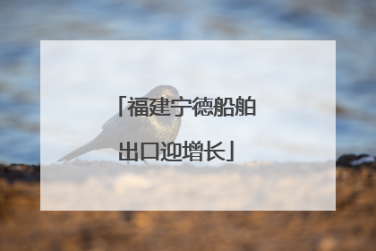 福建宁德船舶出口迎增长