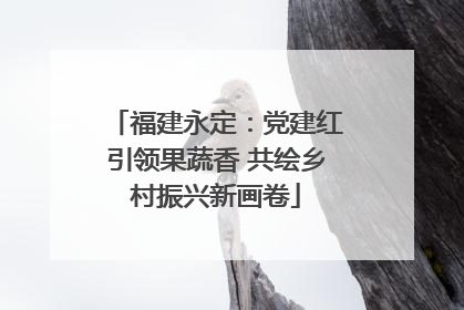 福建永定：党建红引领果蔬香 共绘乡村振兴新画卷