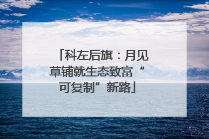 科左后旗：月见草铺就生态致富“可复制”新路