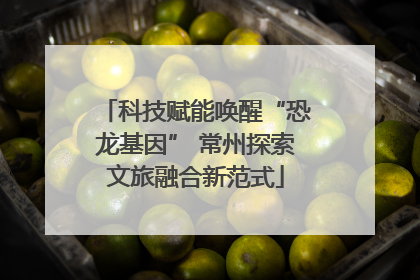 科技赋能唤醒“恐龙基因” 常州探索文旅融合新范式