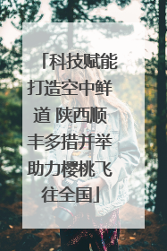 科技赋能打造空中鲜道 陕西顺丰多措并举助力樱桃飞往全国