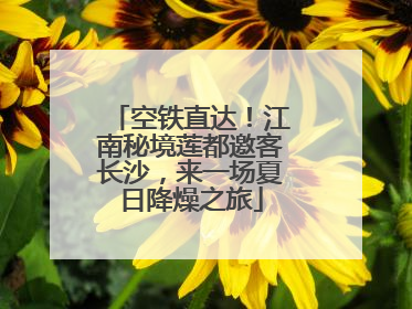 空铁直达！江南秘境莲都邀客长沙，来一场夏日降燥之旅
