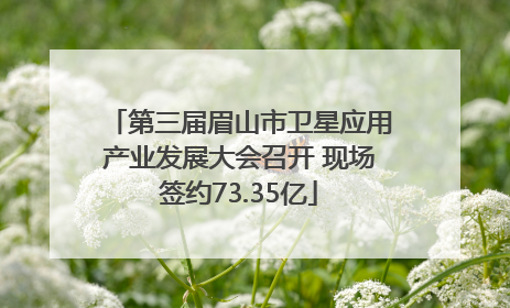 第三届眉山市卫星应用产业发展大会召开 现场签约73.35亿