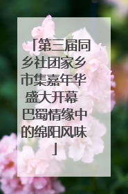 第三届同乡社团家乡市集嘉年华盛大开幕 巴蜀情缘中的绵阳风味