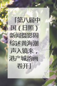 第八届中国（日照）新闻摄影周综述黄海潮声入镜来，港产城韵画卷开