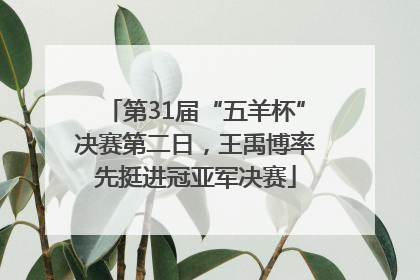 第31届“五羊杯”决赛第二日，王禹博率先挺进冠亚军决赛