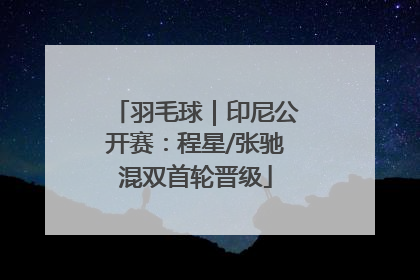 羽毛球｜印尼公开赛：程星/张驰混双首轮晋级