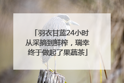 羽衣甘蓝24小时从采摘到鲜榨，瑞幸终于做起了果蔬茶
