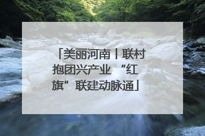 美丽河南丨联村抱团兴产业 “红旗”联建动脉通