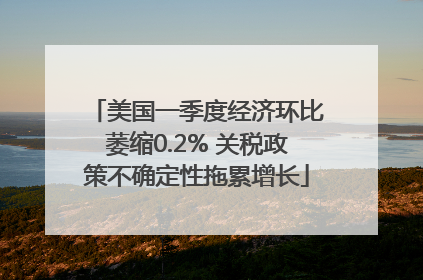 美国一季度经济环比萎缩0.2% 关税政策不确定性拖累增长