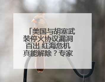 美国与胡塞武装停火协议漏洞百出 红海危机真能解除？专家分析→