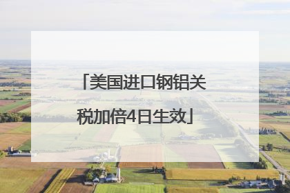 美国进口钢铝关税加倍4日生效