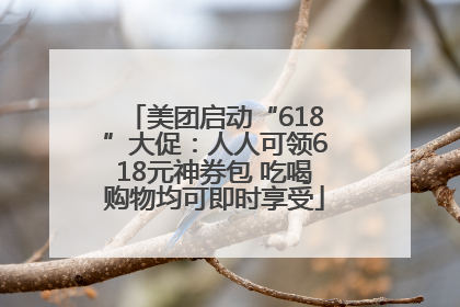 美团启动“618”大促：人人可领618元神券包 吃喝购物均可即时享受