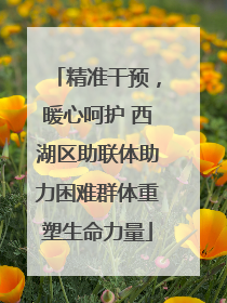 精准干预，暖心呵护 西湖区助联体助力困难群体重塑生命力量
