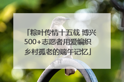 粽叶传情十五载 博兴500+志愿者用爱编织乡村孤老的端午记忆
