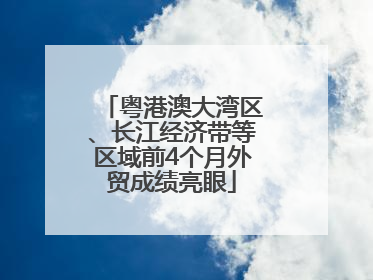 粤港澳大湾区、长江经济带等区域前4个月外贸成绩亮眼