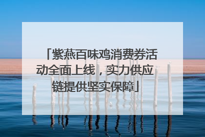 紫燕百味鸡消费券活动全面上线，实力供应链提供坚实保障