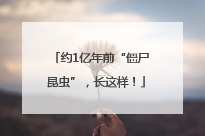 约1亿年前“僵尸昆虫”，长这样！