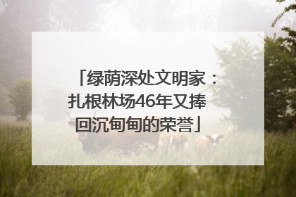 绿荫深处文明家：扎根林场46年又捧回沉甸甸的荣誉