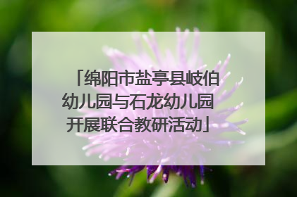 绵阳市盐亭县岐伯幼儿园与石龙幼儿园开展联合教研活动