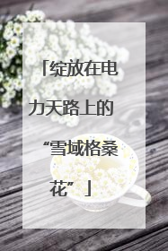 绽放在电力天路上的“雪域格桑花”
