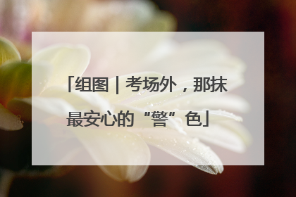 组图｜考场外，那抹最安心的“警”色