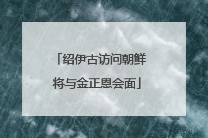 绍伊古访问朝鲜 将与金正恩会面