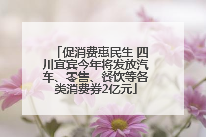 促消费惠民生 四川宜宾今年将发放汽车、零售、餐饮等各类消费券2亿元