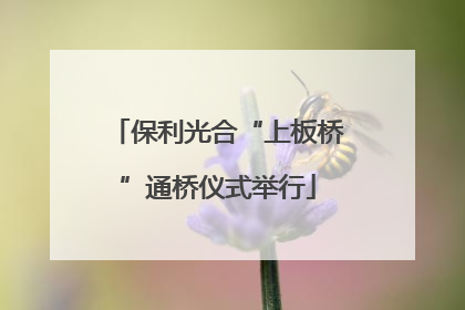 保利光合“上板桥”通桥仪式举行