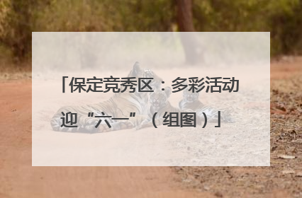 保定竞秀区：多彩活动迎“六一”（组图）