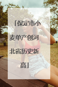 保定市小麦单产创河北省历史新高