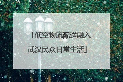 低空物流配送融入武汉民众日常生活