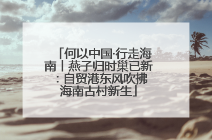 何以中国·行走海南丨燕子归时巢已新：自贸港东风吹拂 海南古村新生