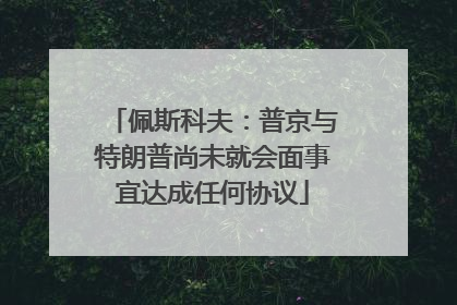 佩斯科夫：普京与特朗普尚未就会面事宜达成任何协议