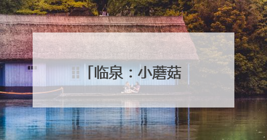 临泉：小蘑菇铺就幸福路