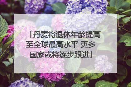 丹麦将退休年龄提高至全球最高水平 更多国家或将逐步跟进