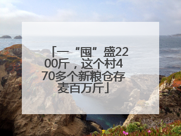 一“囤”盛2200斤，这个村470多个新粮仓存麦百万斤
