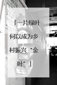 一片绿叶何以成为乡村振兴“金叶”