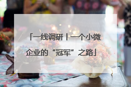 一线调研丨一个小微企业的“冠军”之路