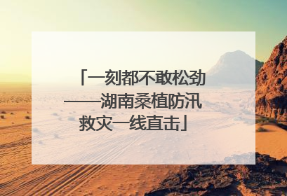 一刻都不敢松劲——湖南桑植防汛救灾一线直击