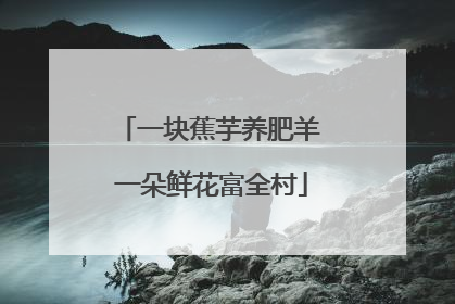 一块蕉芋养肥羊 一朵鲜花富全村