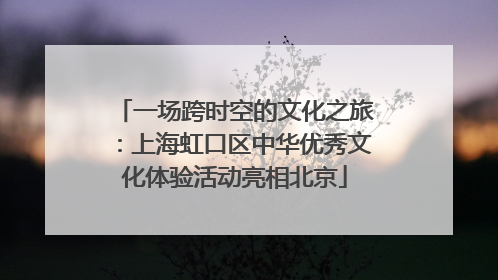 一场跨时空的文化之旅：上海虹口区中华优秀文化体验活动亮相北京