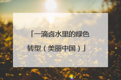 一滴卤水里的绿色转型（美丽中国）